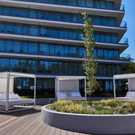 Wave - Black Swan - Międzyzdroje