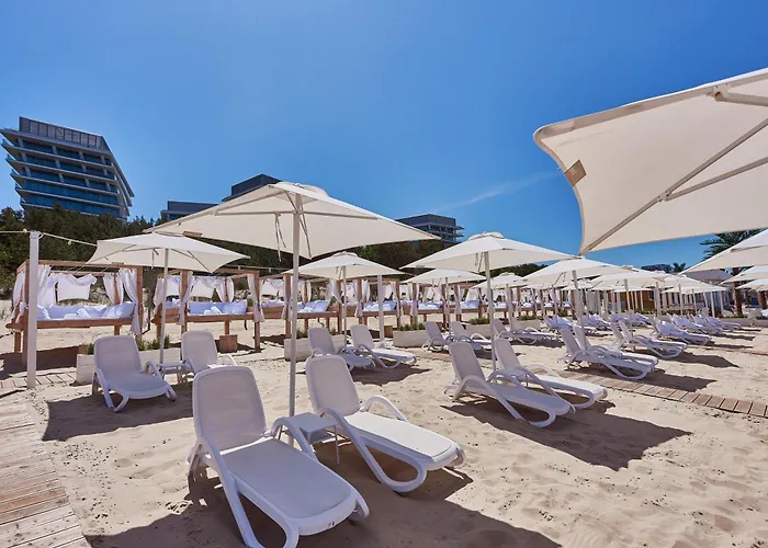 Wave - Black Swan - מידזיזדרויה