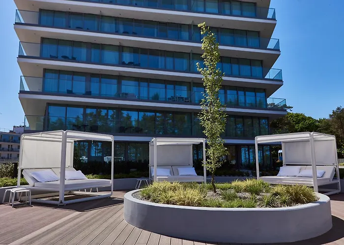 Wave - Black Swan - מידזיזדרויה